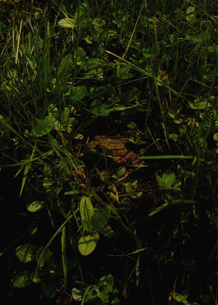 Untitled Untitled